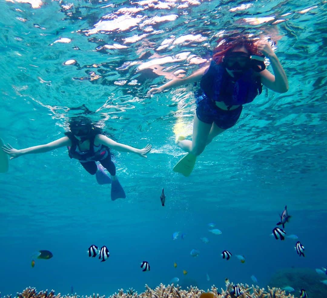 上妻未来さんのインスタグラム写真 - (上妻未来Instagram)「おもいっきり笑って生きる 楽しんでこそ人生🦋  友達歴20年 今でもこうやって一緒に旅ができる 友達がいてシアワセ💛  #ウミガメと泳ぐ #泳ぐの大好き #海が好き #海のある生活 #海遊び #ソトアソビ#シュノーケリング #シュノーケリングスポット #SUP #島人#island #islandgirl」9月16日 21時34分 - kozuma.m