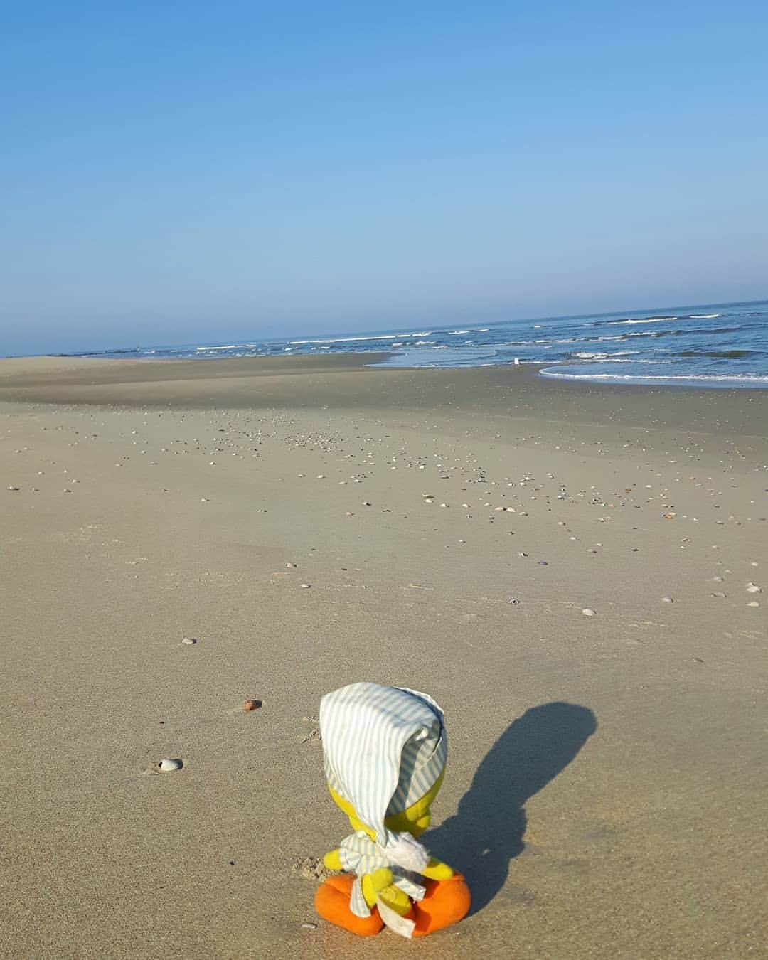 Little Yellow Birdさんのインスタグラム写真 - (Little Yellow BirdInstagram)「Just me and my shadow... #littleyellowbird #tweety #tweetykweelapis #adventures #yellow #bird #texel #waddeneiland #northsea #noordzee #beach #strand #sun #sunnyday #holidays #bluesky #bluewater #shadow #beachwalk #strandwandeling #stuffedanimalsofinstagram #plushiesofinstagram」9月16日 21時48分 - tweetykweelapis