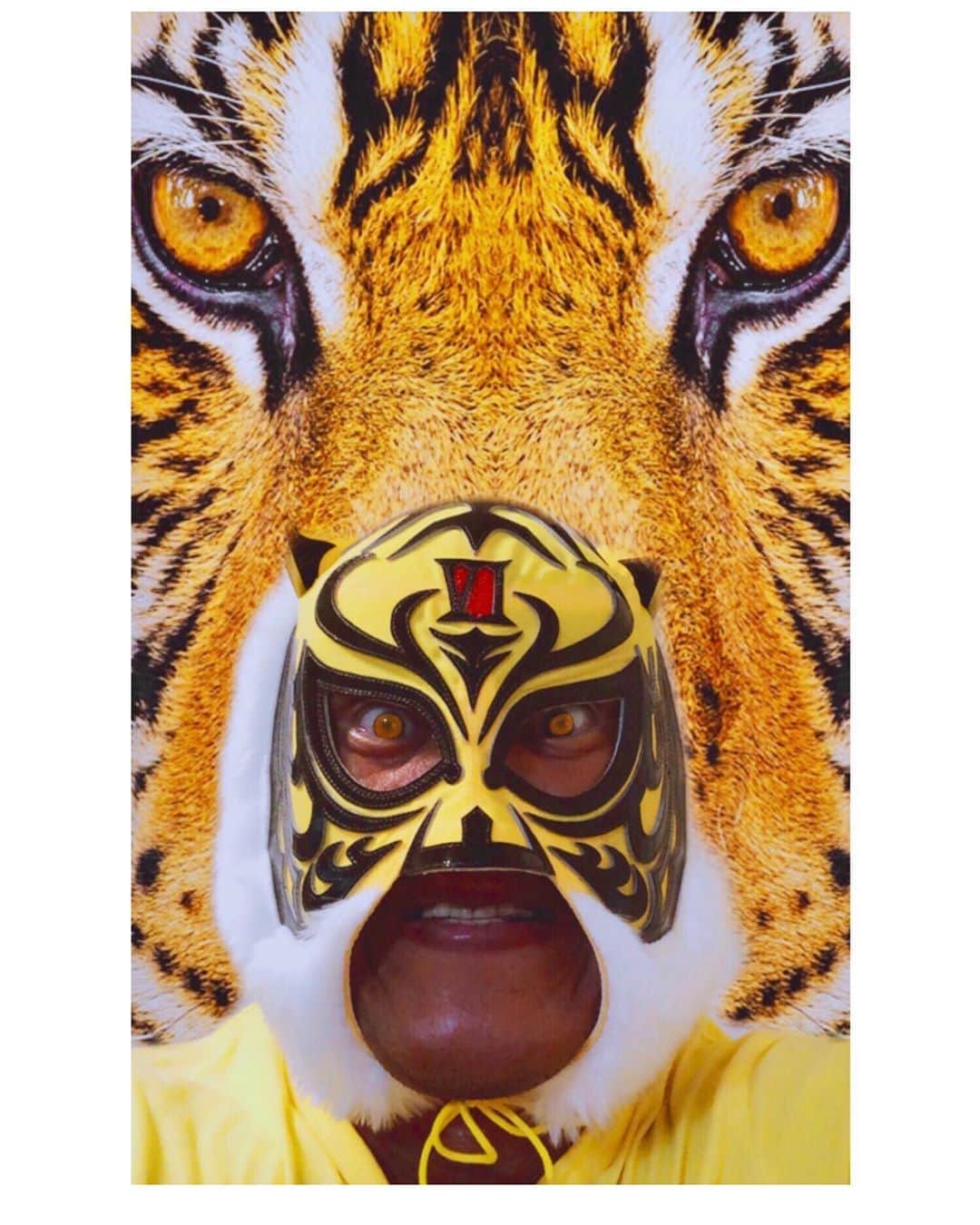 タイガーマスクさんのインスタグラム写真 - (タイガーマスクInstagram)「お前は虎になれ‼️  #タイガーマスク #tigermask  #njpw #tiger #お前は虎になれ」9月16日 21時56分 - tigermask.njpw_official