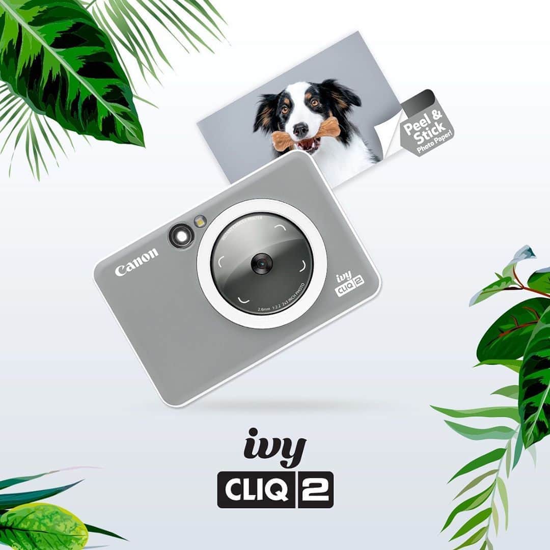 CANON USAさんのインスタグラム写真 - (CANON USAInstagram)「With the new IVY CLIQ2 and IVY CLIQ+2 capture the scene or a selfie in an instant. Easy to use and portable, this Instant Camera Printer is the accessory you will want on you at all times!」9月16日 22時02分 - canonusa