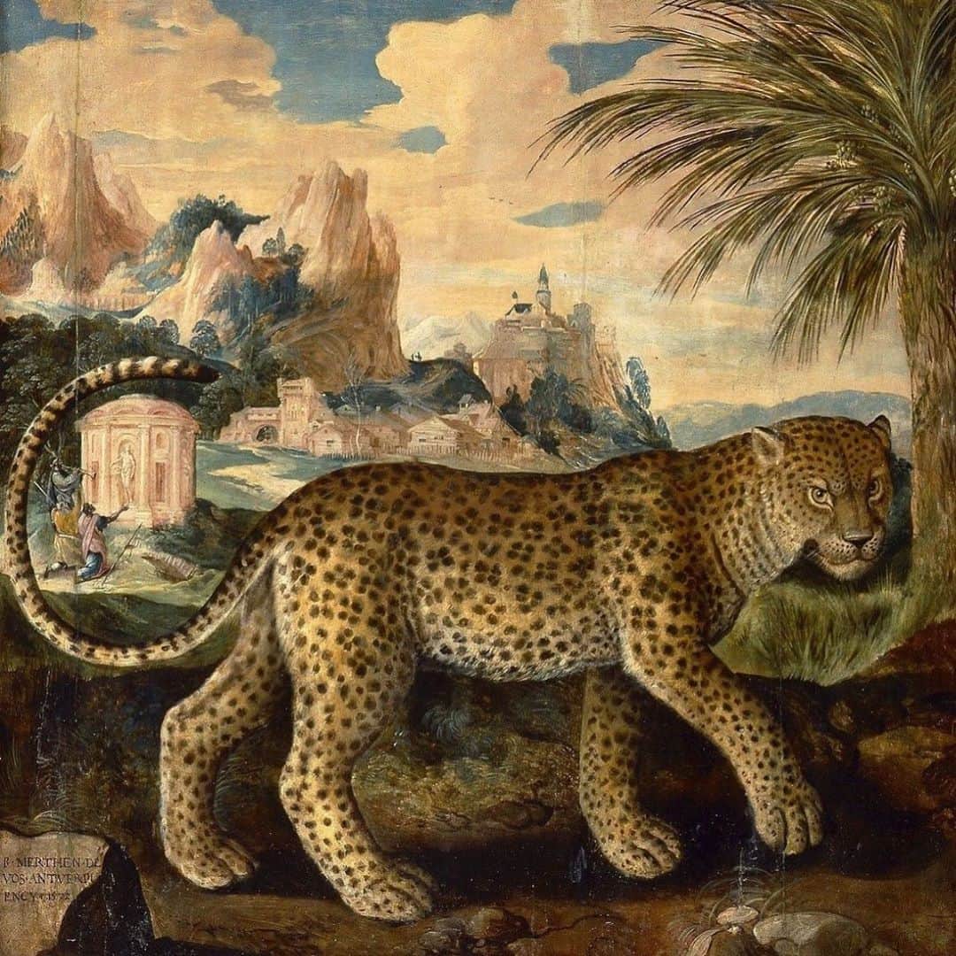 ジョン・コルタジャレナさんのインスタグラム写真 - (ジョン・コルタジャレナInstagram)「Maarten de Vos, Leopard (1603)」9月16日 22時04分 - jonkortajarena