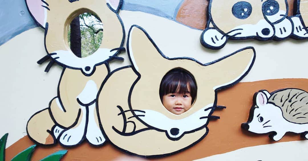 吉村美樹さんのインスタグラム写真 - (吉村美樹Instagram)「顔はめパネル、やっちゃうよね。楽しいよね。お母ちゃんも、やりたい（笑） #フェネック #顔はめパネル #やりがち #ピッタリ #小狐 #子狐 #コンコン #2歳7ヶ月 #🦊」9月16日 22時26分 - yoshimuramiki0911