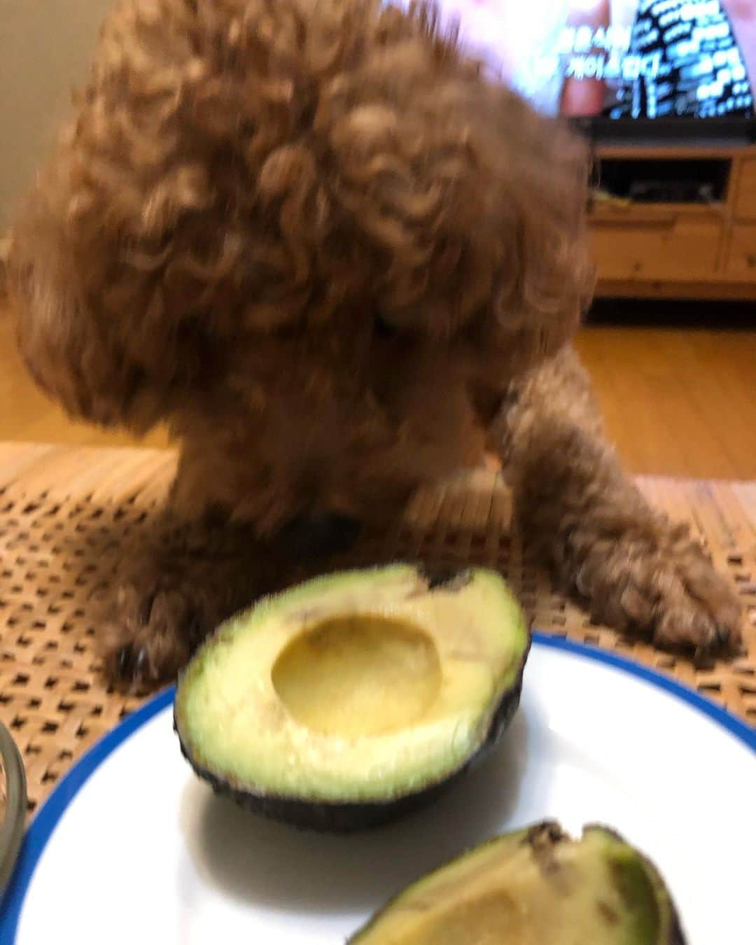 ミナ さんのインスタグラム写真 - (ミナ Instagram)「🥑🐻🥑」9月16日 23時01分 - bbang_93