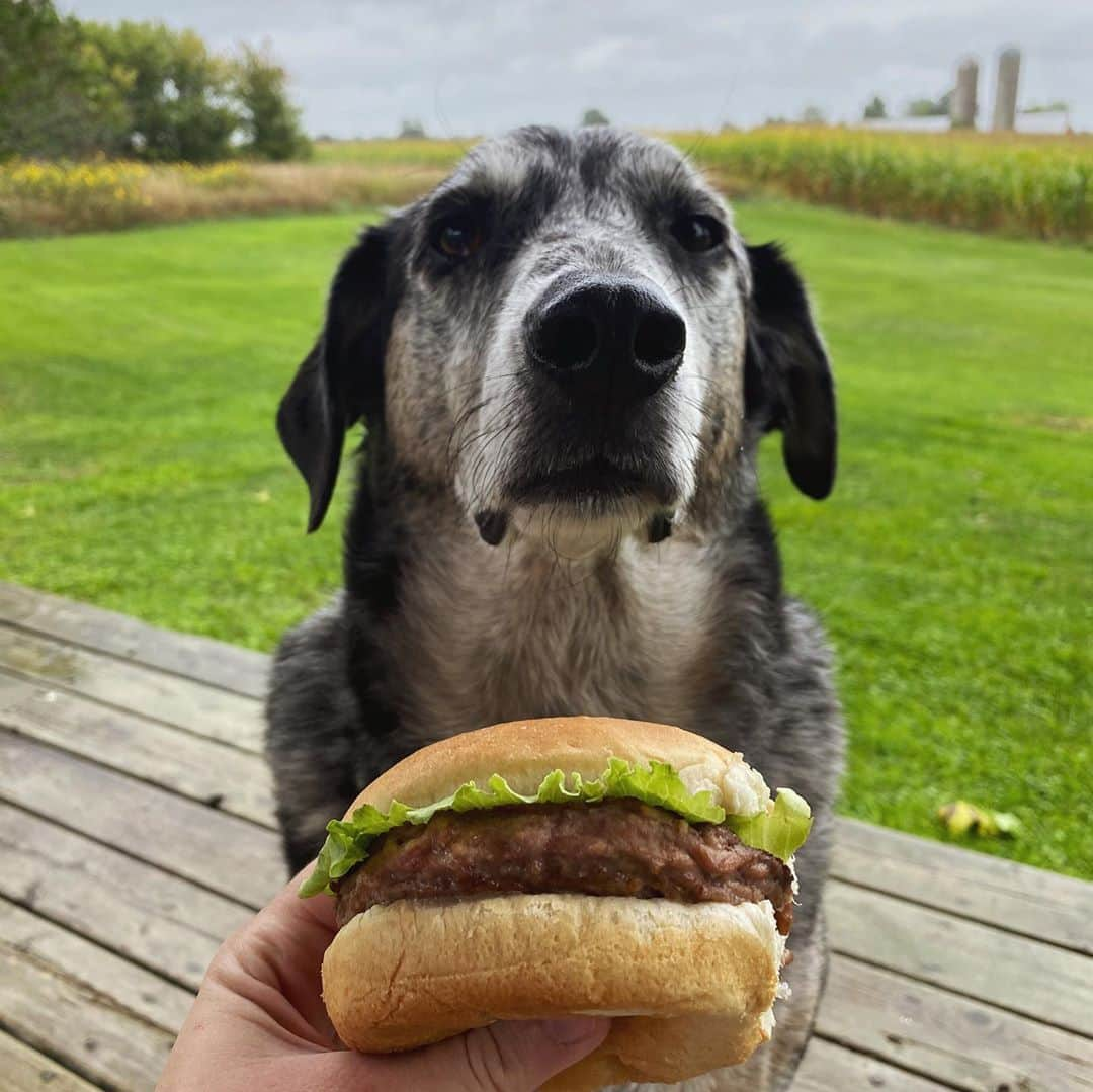 Emily McCrackenのインスタグラム：「#willGeorgehold a burger? 🍔  Either way, he’s always the best boy.」