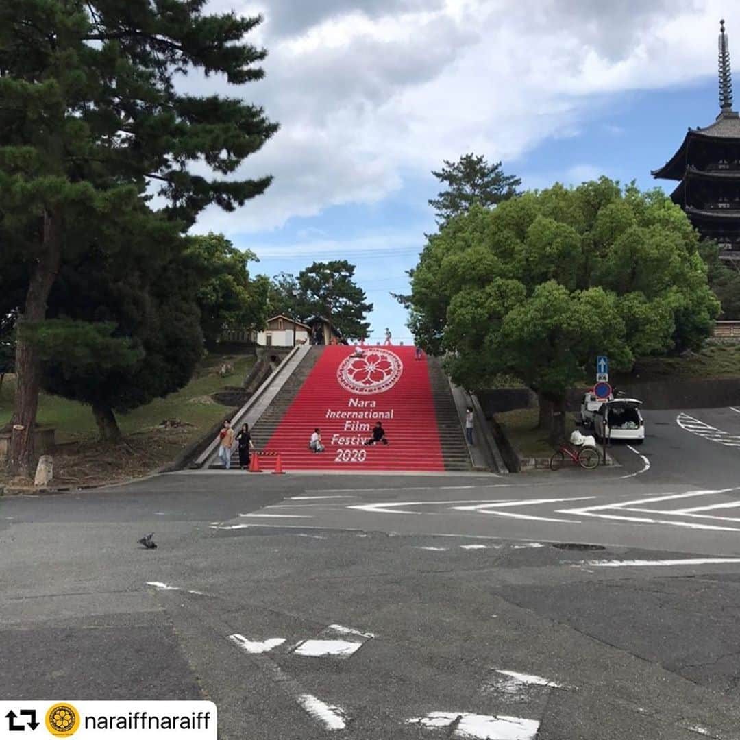 渡辺真起子さんのインスタグラム写真 - (渡辺真起子Instagram)「#repost @naraiffnaraiff ・・・ おはよう関西に河瀨直美監督が出演した今朝、猿沢池では、レッドカーペットがどどーんとお目見え！ いよいよ明日から映画祭が開催です！  #奈良国際映画祭2020 #映画祭 #映画」9月17日 9時21分 - watanabe_makiko