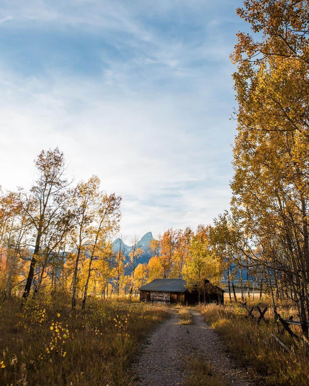 National Geographic Travelさんのインスタグラム写真 - (National Geographic TravelInstagram)「Photos by @taylorglenn  Autumn hues embrace aspen trees at Antelope Flats in Grand Teton National Park. These gorgeous deciduous trees often propagate through a shared root system forming a large clonal grove. In other words, they are often all the same tree. There is nothing quite like seeing them in full fall colors in the mountain landscape.  Follow @taylorglenn for more from Grand Teton National Park and beyond. #Wyoming #grandtetonnationalpark」9月17日 1時07分 - natgeotravel