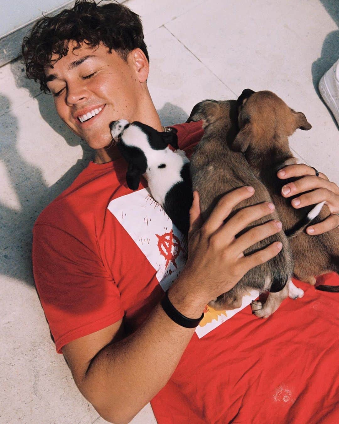 Bryant Eslavaのインスタグラム：「/ COMMENT “🐶” IF YOU LOVE PUPPIES❤️」