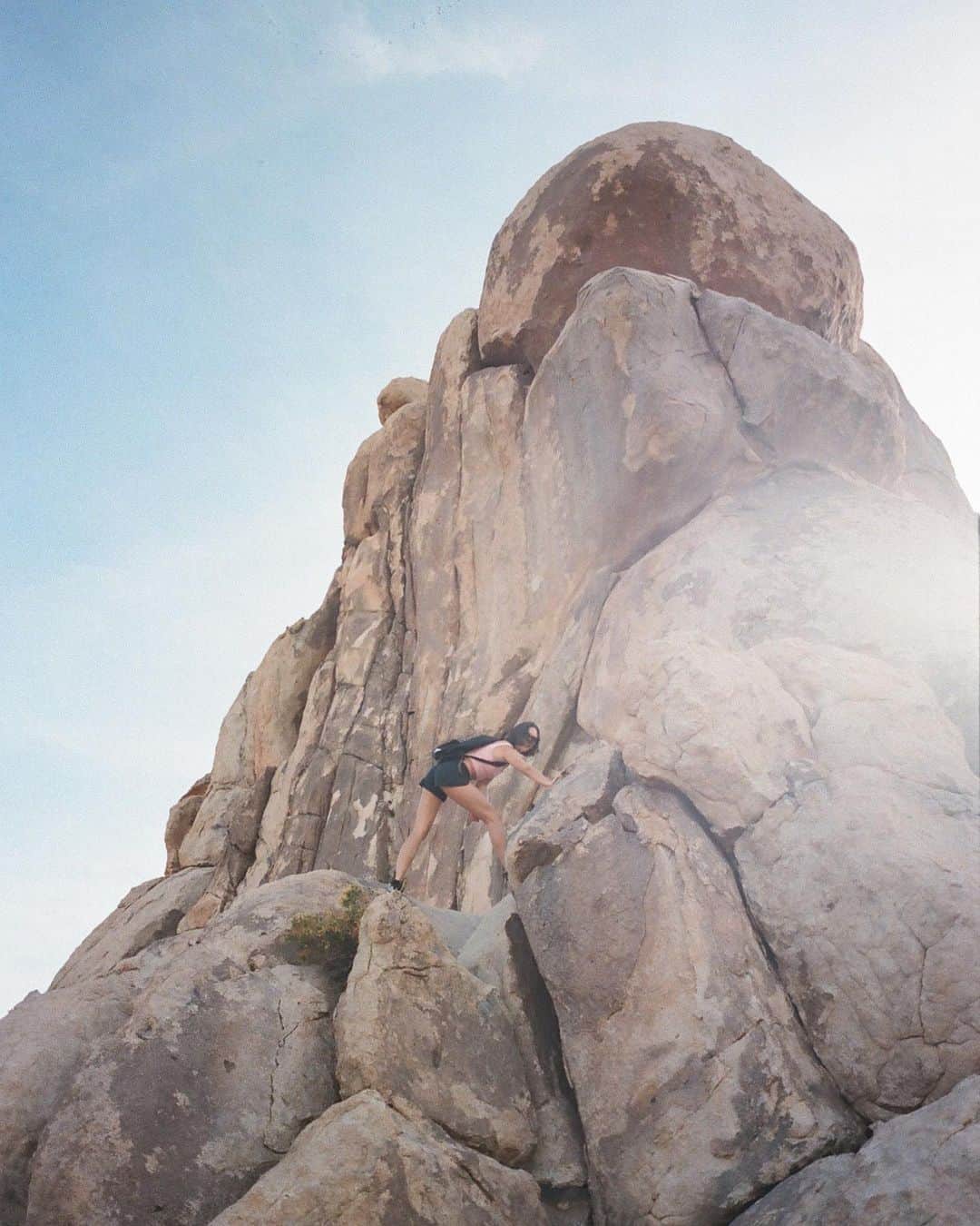 松島エミのインスタグラム：「Don’t really know how to put into words but... My heart is breaking at the thought of the nature and the lives of animals that we are losing from the current wildfires across the west coast...We always take nature for granted and take advantage of it when we need healing, to provide us with adventure, livelihoods but most importantly A HOME!  It’s beyond scary to think about what our earth will look like in the future😞 . 📷 @00oocc」
