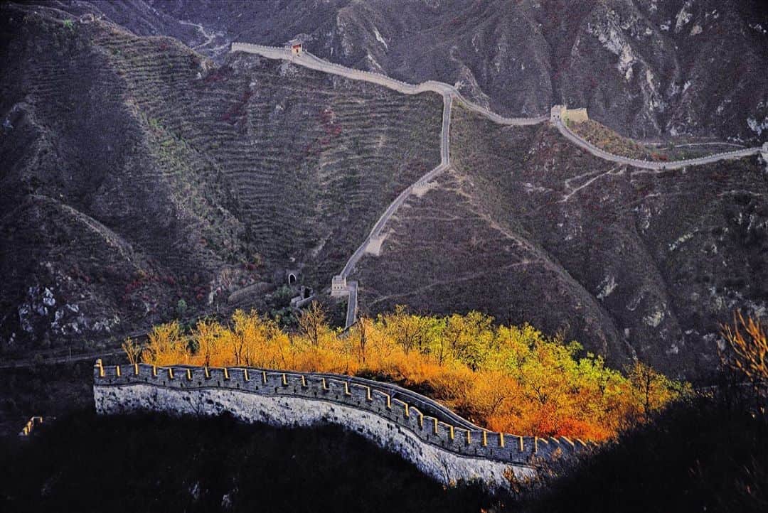 Michael Yamashitaさんのインスタグラム写真 - (Michael YamashitaInstagram)「Fall on the wall: at the Badaling section of the Great Wall, brilliant fall foliage brings a spot of color to a structure that in most lights is a study in gray. Badaling is the Ming Wall's most renovated and heavily visited section. #greatwall #greatwallofchina #badaling」9月17日 3時29分 - yamashitaphoto