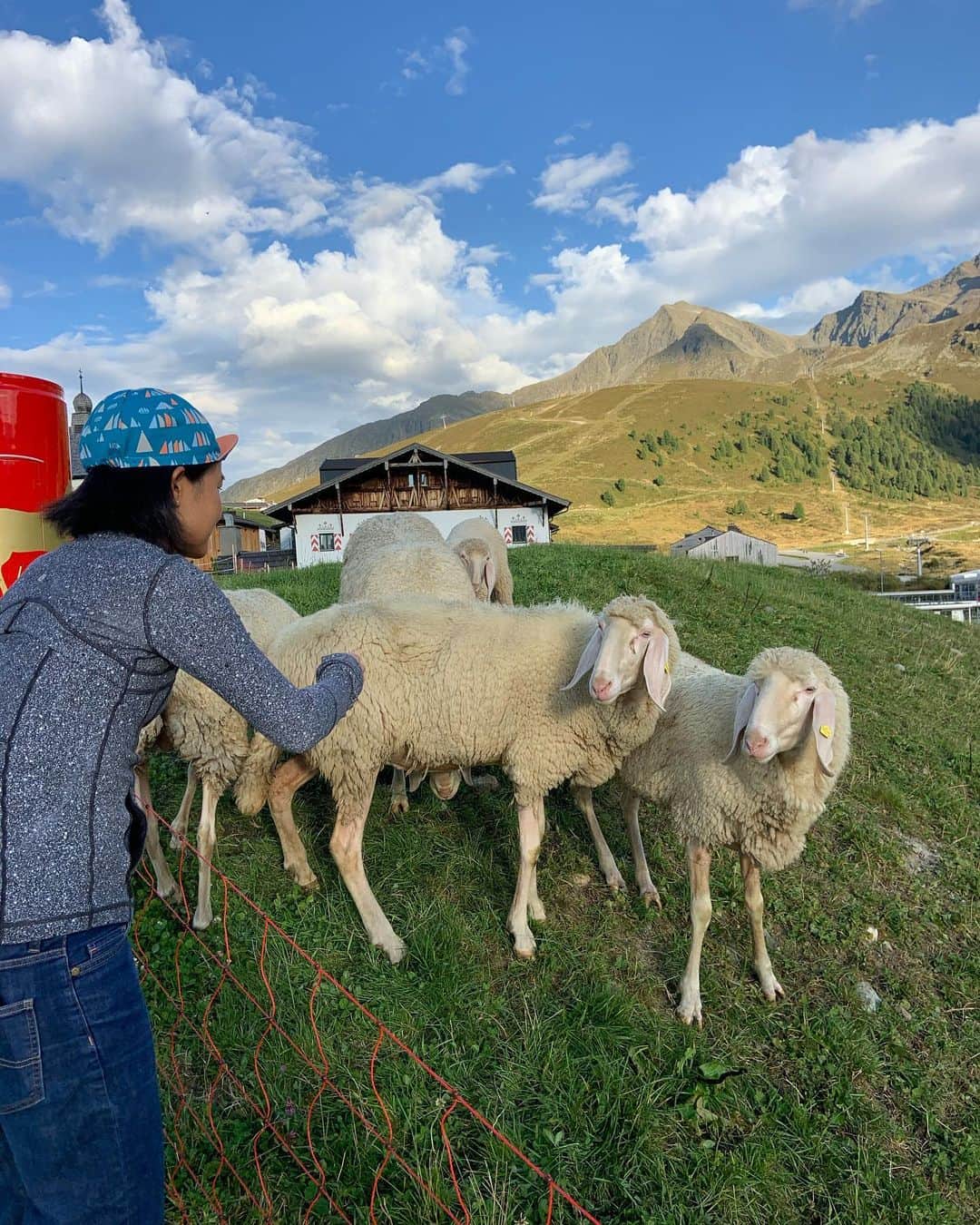 與那嶺恵理のインスタグラム：「This is How to make friendship with sheep 🐑🥰 Nice rest day in #kühtai 🏔 . . I love these sheep’s ears just I feel lovely🧡 so I always try to call them saying “Baaaaa 📢”😜 . . #今日のエリさん　#altitudetraining」