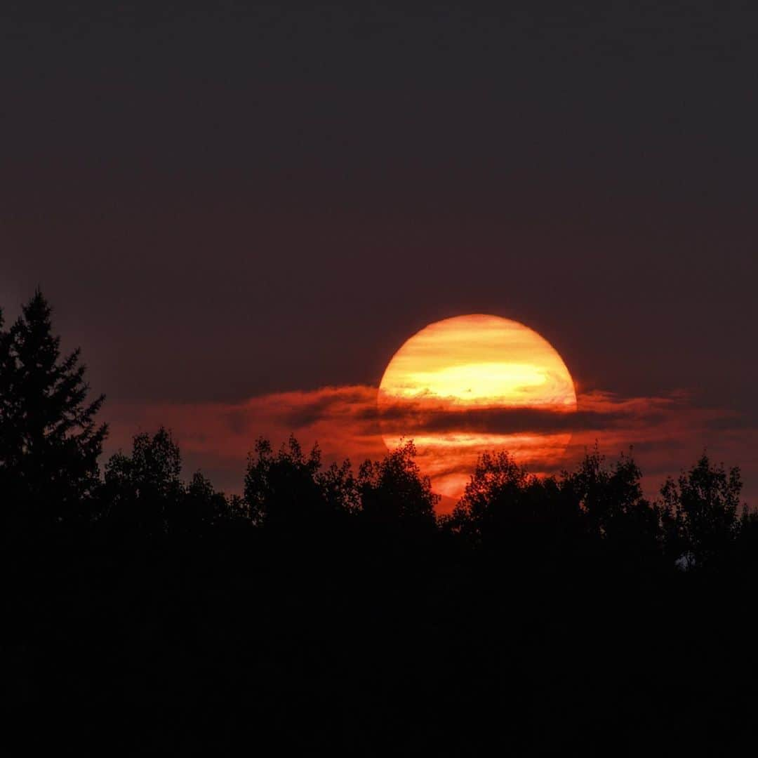 Ricoh Imagingさんのインスタグラム写真 - (Ricoh ImagingInstagram)「This beautiful sunset was captured with the #Pentaxkp.  Focal Length: 450mm Aperture: F/11 Shutter Speed: 1/800th ISO: 400 Exposure Compensation: -3.7」9月17日 5時31分 - ricohpentax