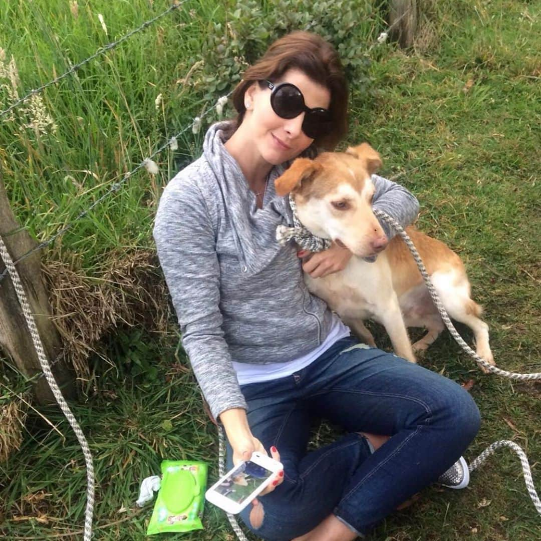 Carolina Cruz Osorioさんのインスタグラム写真 - (Carolina Cruz OsorioInstagram)「• Desde mis 14 años, hace 27 años convivo con animales, con Perros y de ellos aprendo cada día. Su dulzura, generosidad, compañía, amor, nobleza, pureza, en fin, no terminaría nunca de decir las cosas buenas y únicas de los animales que cada día nos demuestran que son mejores que nosotros.  Por eso, hoy, desde lo más profundo de mi corazón quiero pedirles un enorme favor. Si todos subimos a nuestro feed, NO historias una foto con nuestras mascotas, @agrocampoco nos ayudará con comida para nuestra manada, son 31 Perros que siguen viviendo, más fuertes y presentes que nunca, cumpliendo los deseos de @rafaeluribe8a para su @fundaciongranespiritu podemos subir todas las imágenes que queramos con los numérales #porrafaylamanada #barrigasllenas #miércolesdemascotas @agrocampoco 🐶🐶🐶」9月17日 6時00分 - carolinacruzosorio