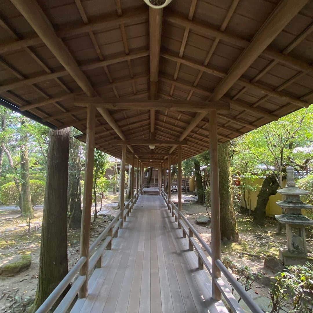 km観光タクシーさんのインスタグラム写真 - (km観光タクシーInstagram)「Shibamata Taishakuten Temple   #tokyodrive #tokyotrip #tokyotour #tokyosightseeing #tokyolife #tokyonow #tokyotravel #thingstodointokyo #mytokyois #thingstodoinjapan  #tokyotourism #観光タクシー #kmタクシー  #東京観光タクシー #kmtaxi #tokyotokyo #20cheersfortokyo」9月17日 6時07分 - tokyodrive.jp