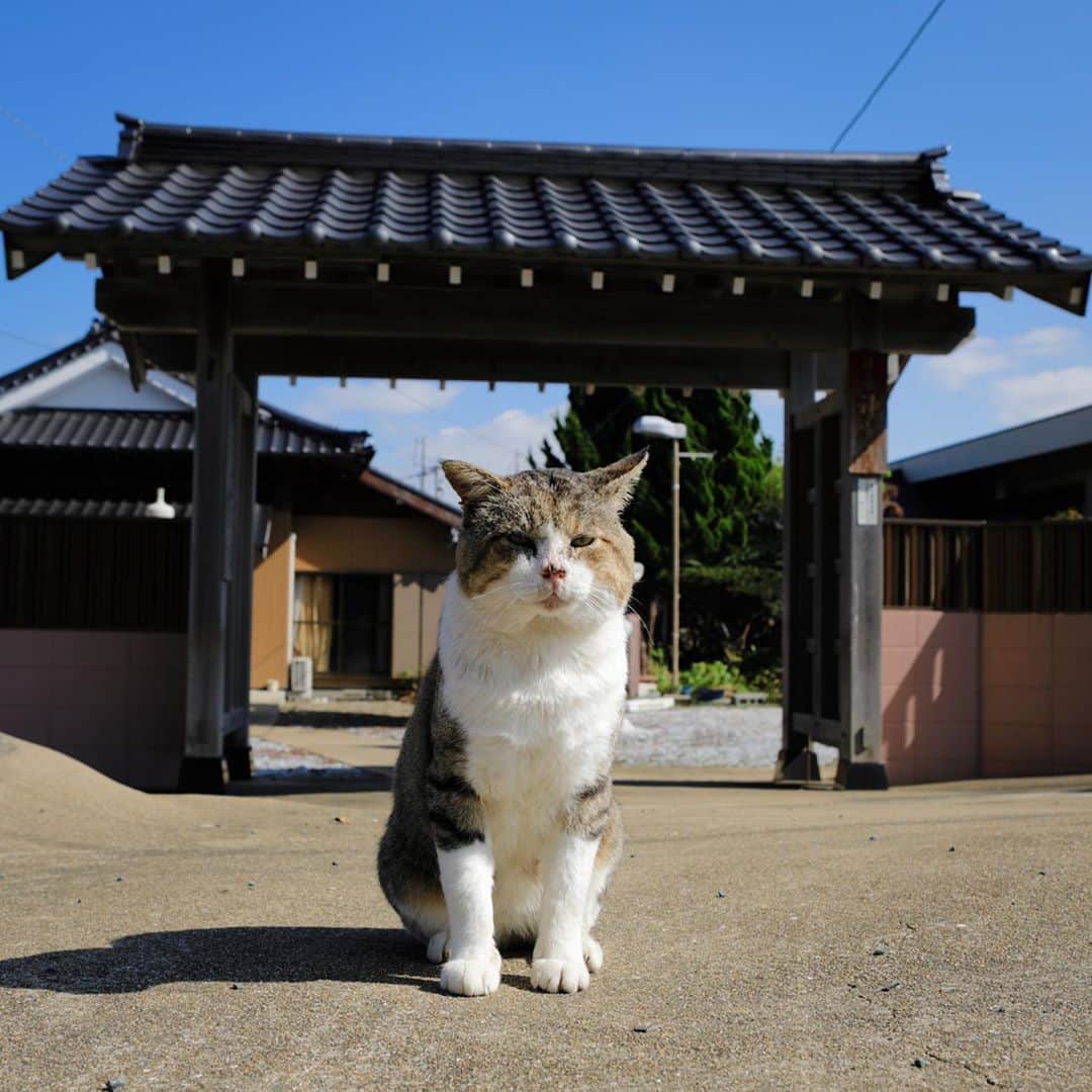 ををつかのインスタグラム