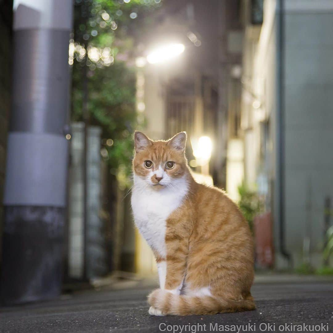 Masayukiさんのインスタグラム写真 - (MasayukiInstagram)「夜中のいつもの場所。」9月17日 7時20分 - okirakuoki