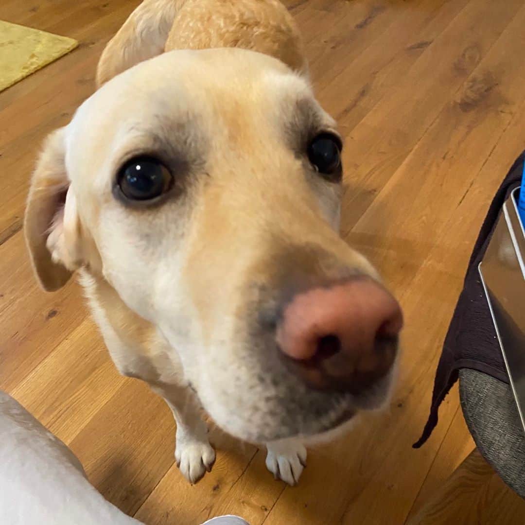 室屋成さんのインスタグラム写真 - (室屋成Instagram)9月17日 8時18分 - sei_muroya