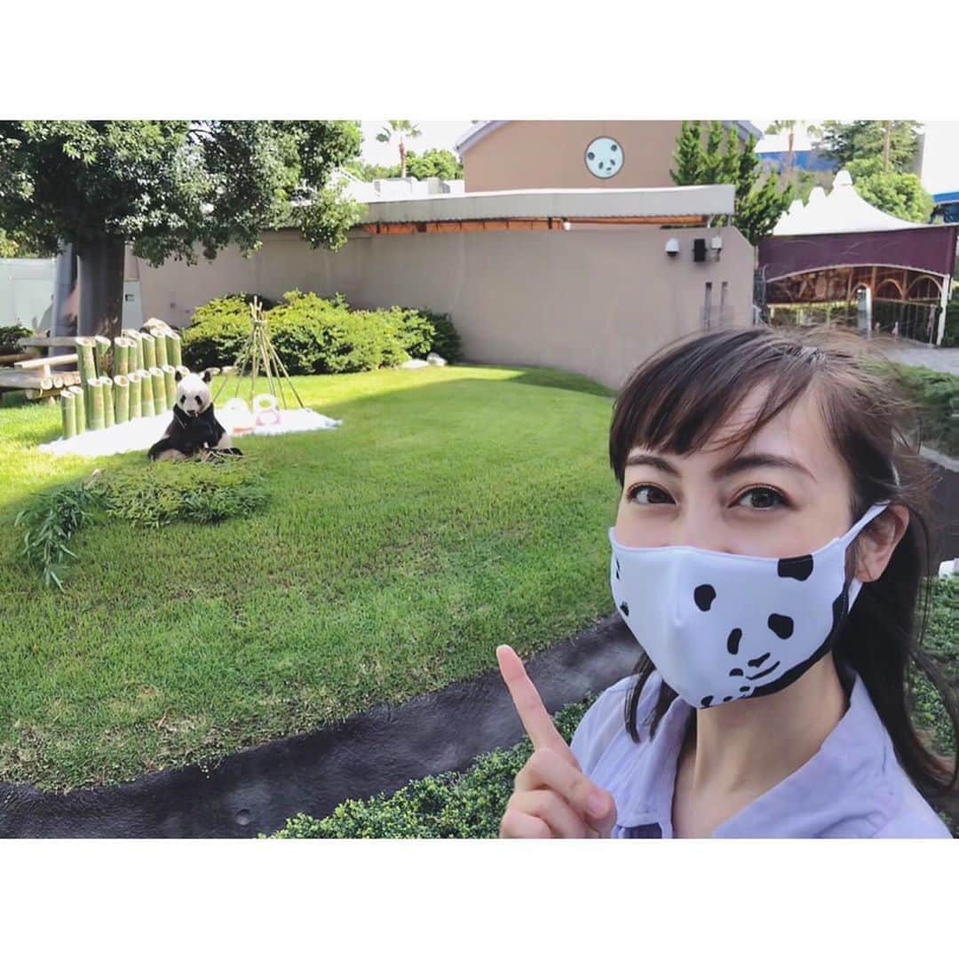 松山メアリさんのインスタグラム写真 - (松山メアリInstagram)「🐼🎂🎉  #happybirthday  #アドベンチャーワールド   #報道ランナー 🏃‍♀️」9月17日 19時16分 - marymatsuyama_official