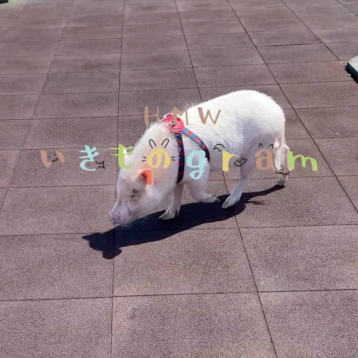 平成医療福祉グループのインスタグラム