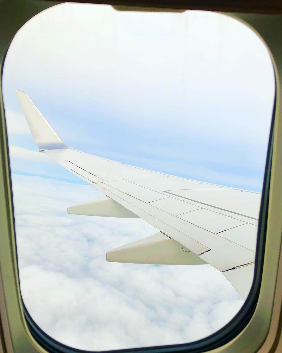北広アキさんのインスタグラム写真 - (北広アキInstagram)「なんと気がつけばフォロワー1,000人！ありがとうございます🌸  ちょと西へ✈️ 色々と祈願しに行って参ります😌  #祈願旅行 #西日本 #行きたかった場所 #飛行機の窓から #飛行機」9月17日 18時19分 - aki_kitahiro