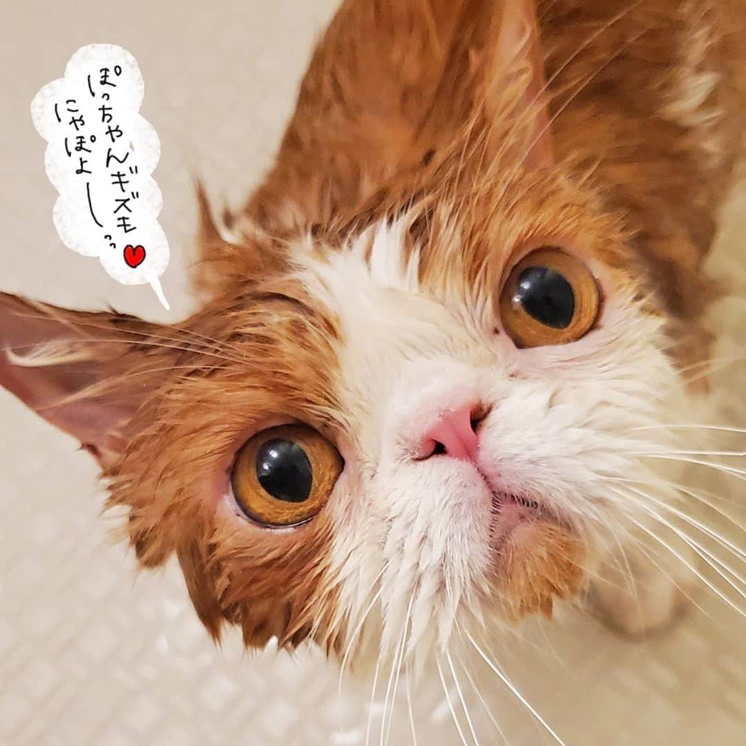 なっつ。のインスタグラム