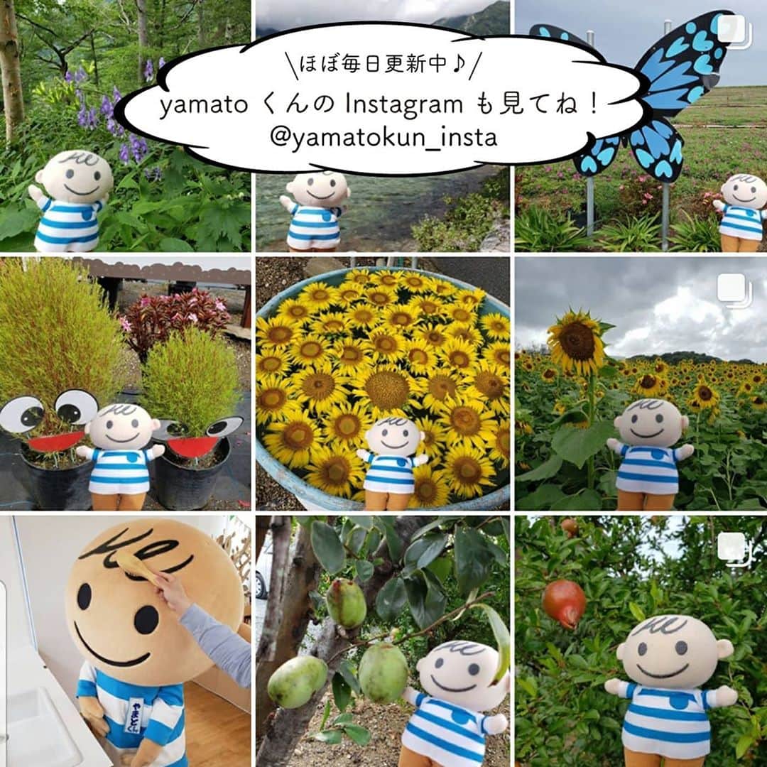 yamatoya(ベビー・キッズ家具の大和屋) さんのインスタグラム写真 - (yamatoya(ベビー・キッズ家具の大和屋) Instagram)「【ゆるキャラグランプリもうすぐ締切！】 . yamatoyaのマスコットキャラクターyamatoくんだよ！ 今日はぼくのInstagram @yamatokun_insta を飛び出して最後のお願いに来たよ。 . なぜかというと、ぼくが出場しているゆるキャラグランプリが9月25日(金）18:00までで投票が終わるからなんだ。 . ゆるキャラグランプリの開催は今年が最後！ 5回目の挑戦となるぼくは有終の美を飾れるかな!? . 投票は9/25まで1日1回出来るから、みんなも投票してね♪ 愛知県(企業･その他)　エントリーNo.187「yamatoくん」だよ！ . みんな、最後まで応援よろしくね！ . ちなみに、ぼくにはInstagramのアカウント(@yamatokun_insta)があって、毎日更新中♪ 色々な場所にお出かけして写真を撮っているんだ！ もうすぐ秋の行楽シーズン。yamatoyaの仲間がこれからどこに連れて行ってくれるか楽しみだな♪ こちらも、ぜひ見てね！！ . .　 #yamatoくん #やまとくん #ゆるキャラグランプリ #ゆるキャラ #子育て企業 #家具メーカー #愛知企業 #三河企業 #安城市 #マスコットキャラクター #キャラクターグッズ #赤ちゃん #子育て #子ども #yamatoya #大和屋」9月17日 18時30分 - yamatoya_official