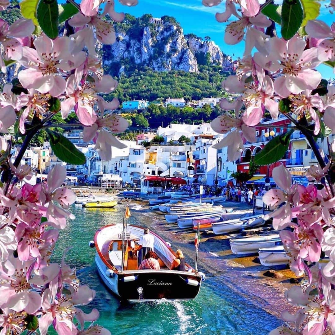 ヴィッキー・パティソンさんのインスタグラム写真 - (ヴィッキー・パティソンInstagram)「Capri... 🌸  Next year I am MAKING it to Capri!!! 😍😍😍 Even if I have to swim there 😂😂😂  You guys know I will have a travel account right?! If you’re holiday obsessed and love lusting after picture of pretty destinations just like me than make sure you’re following @vickysvacays for all your wanderlust needs 😂😍✈️」9月17日 19時08分 - vickypattison