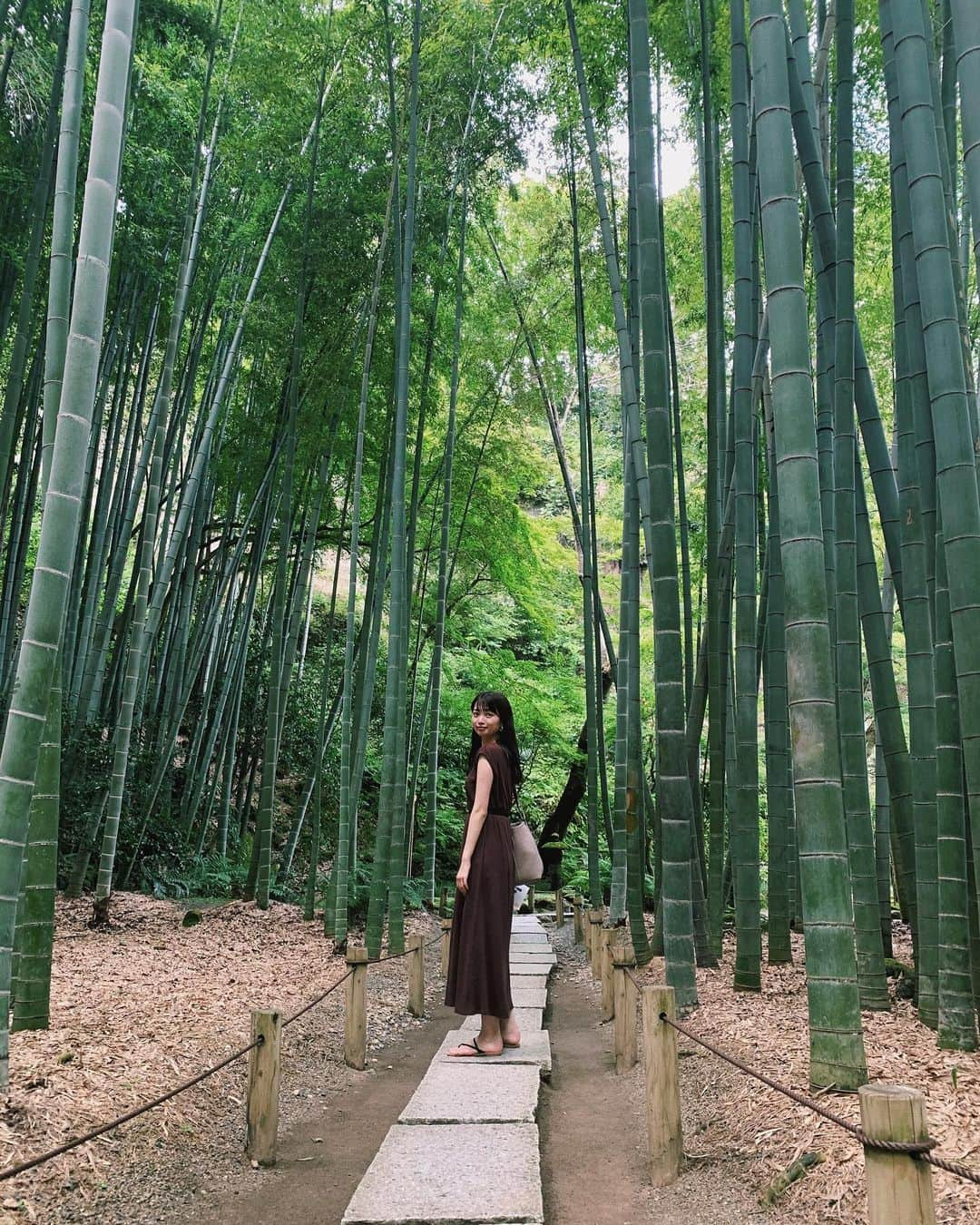 赤坂星南さんのインスタグラム写真 - (赤坂星南Instagram)「🎍#鎌倉#報国寺#竹林 ずっと行ってみたかった報国寺はひたすらに綺麗な景色と自然の音に溢れていて癒されました〜。 竹といえば秋田の祖母から送ってもらった竹の子が美味しい季節です。」9月17日 19時10分 - sena_akasaka