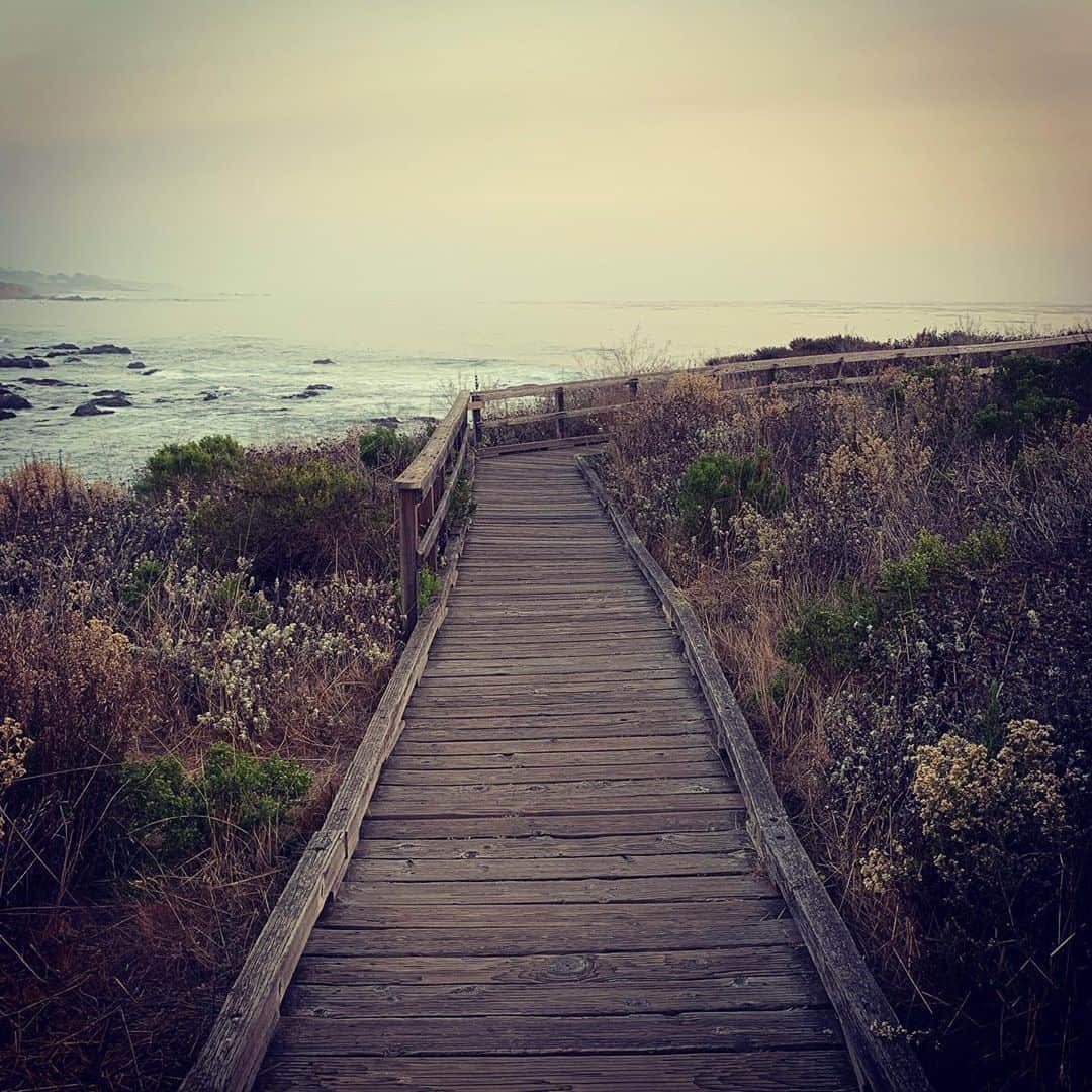 レスリー・フェラさんのインスタグラム写真 - (レスリー・フェラInstagram)「Not sure of the path that lies ahead, but this one looks pretty darn good. I surrender. #gratitude #ocean #cambria #moonstonebeach #getaway #theroadlesstraveled」9月17日 11時03分 - mslesleyfera