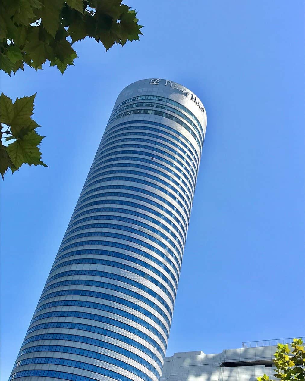 新横浜プリンスホテルのインスタグラム：「新横浜プリンスホテルは地上42F、約150mの高層ホテルです。ホテルステイの楽しみのひとつは高層階からの景色。特別な日はお部屋の窓に広がる絶景ビューをお楽しみください。⁣ ⁣ ⁣ ⁣ #新横浜プリンスホテル#近場旅 #プリンスホテル#新横浜#横浜#客室#新横浜駅 #家族旅行 #横浜観光 #旅行計画 #週末旅 #記念日 #誕生日 #みなとみらい #横浜旅行 #景色 #gotoトラベル #4連休 #夜景デート #プチ贅沢 #高層階⁣ #shinyokohamaprincehotel#princehotel#shinyokohama#yokohama#hotel #view #myyokohama #kanagawa #anniversary」
