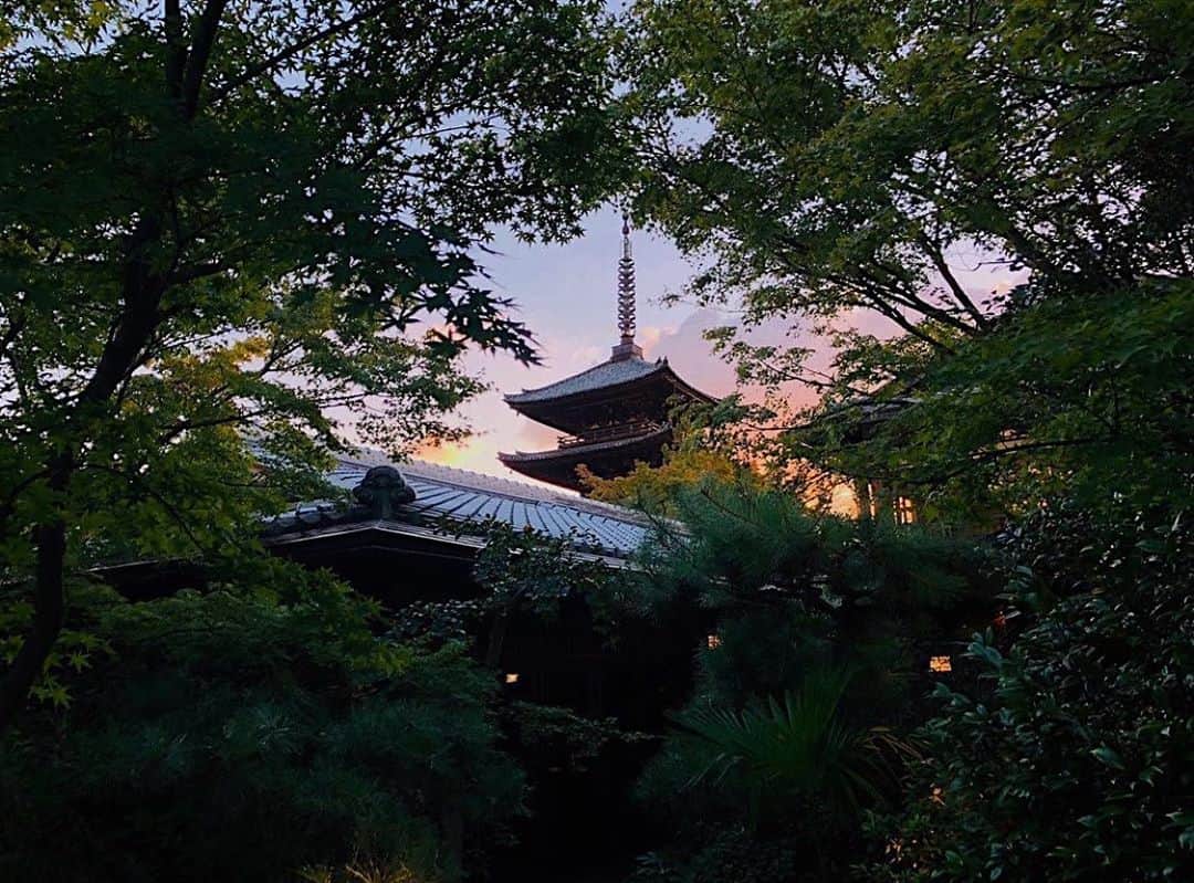 THE SODOH OFFICIALのグルメインスタ