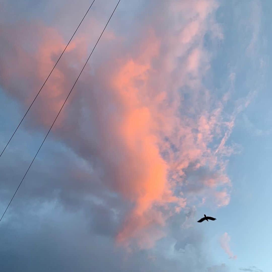矢島舞美さんのインスタグラム写真 - (矢島舞美Instagram)「. この前、帰り道に撮影した雲‼︎ なんか凄いよね‼︎ 写真撮ってたら、カラスが写り込んできたよ！」9月17日 13時08分 - maimiyajima_official_uf