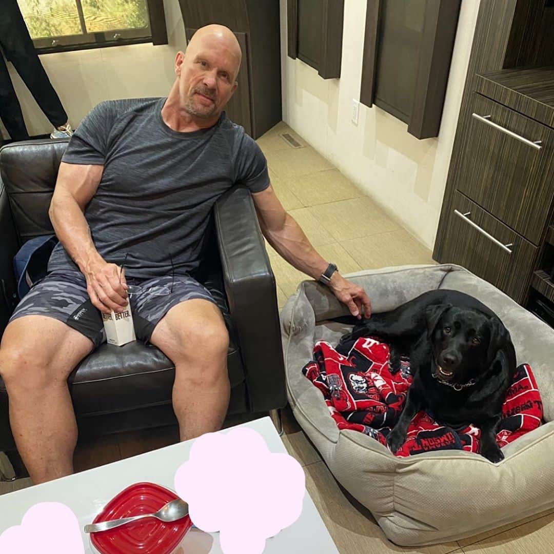 ストーン・コールド・スティーブ・オースチンのインスタグラム：「Very happy to go back to work today. And Cali worked, too. Was a good day...Hell Yeah! #straightupsteveaustin  #usa #usanetwork  @usa_network #dog #doglife  #blacklab #cali」