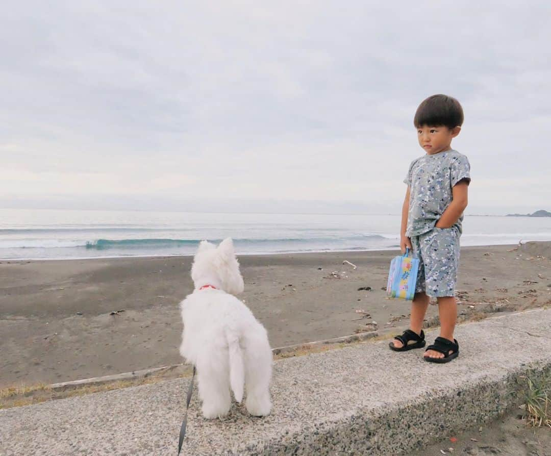 中川珠里さんのインスタグラム写真 - (中川珠里Instagram)「.  AM7:00  パジャマのままお散歩🐶﻿」9月17日 13時21分 - juri1104