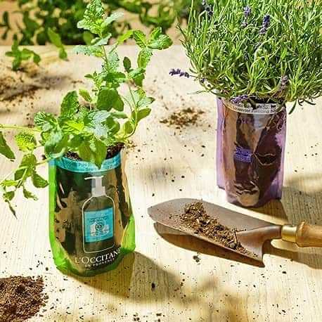 ロクシタンさんのインスタグラム写真 - (ロクシタンInstagram)「Have you got a green thumb? Urban gardens are a great way to improve your mood and the health of our planet. 🌍 We’ve made a bunch of things to reduce our waste by rethinking how we can continue to use our packaging. What will you do with yours? ♻️  #ReducingWaste #ReduceWaste #Recycle #Rethink #Fightagainstpollution #ProtectThePlanet #Ecorefill #LOccitane」9月17日 19時24分 - loccitane