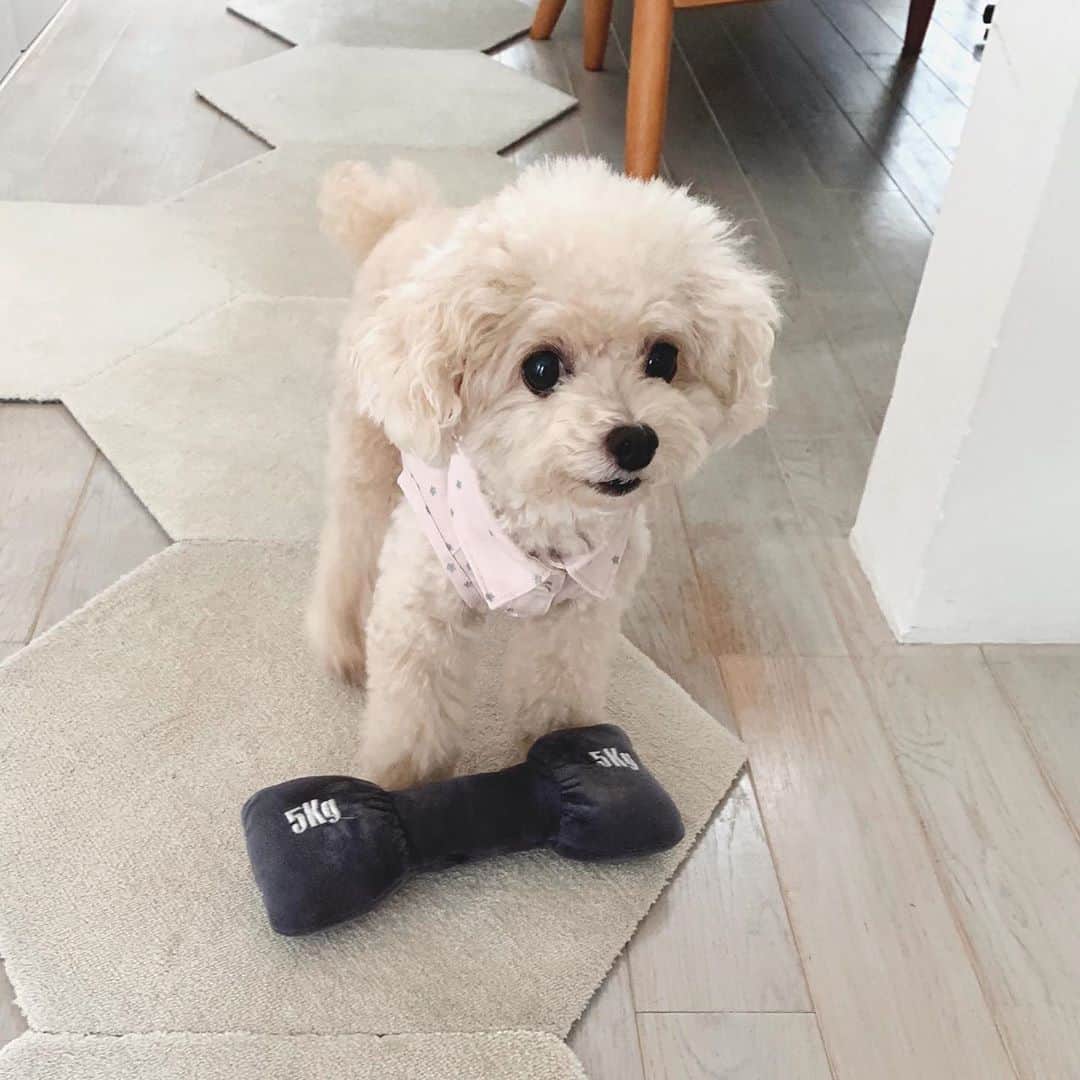 mizuのインスタグラム：「今日もよく遊びました☺︎」