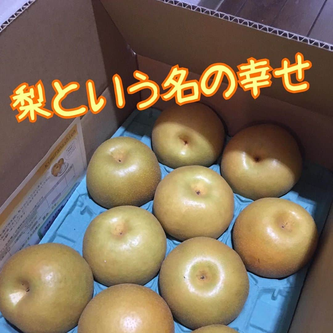 赤プルさんのインスタグラム写真 - (赤プルInstagram)「梨という名前の 梨の形をした 梨の美味しい味がする 幸せが届きました めちゃくちゃうまい！ めちゃくちゃ甘い！ それ以上に気持ちが嬉しい！ なんて幸せなんだっぺ！ ありがとう！ 感謝！ 朝はフルーツを続けていて 旦那が意識し始めたから梨が届いた翌朝なんと贅沢な朝食になったかんね リンゴは皮ごと食べていて 旦那にウサギにしてやろうかと思ったら りんごのウサギの難しさを思い知りました りんごのウサギってどーなってんの？！ #梨が届いた #栃木から  #てるこありがとう  #波照間てるこ　。 #赤プル」9月17日 14時27分 - puluco_a