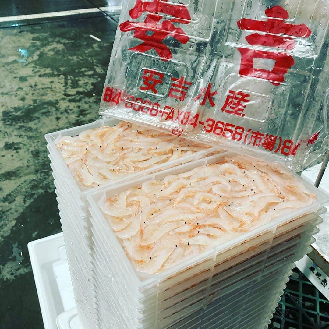 のインスタグラム：「富山の白い宝石〜 本当にキラキラしてますね〜  唐揚げはどんな飲み物にもピッタリ！ 本日も少しずつですが和食店に仕入れました 是非召し上がって下さい  仕入部　片之坂 #まぐろ#新橋#玉子#居酒屋#銀座#京橋#さんま#海鮮丼#刺身#吉祥寺#オイスター#池袋#ビール#ハッピー#刺身盛り合わせ#宝石#渋谷#魚好きと繋がりたい #レモンサワー#カニ#神楽坂#横浜グルメ#飲酒タグラム#野菜たっぷり#日本酒好きな人と繋がりたい #クラフト#仕事#魚金醸造スタンド ステーキ#yummy」