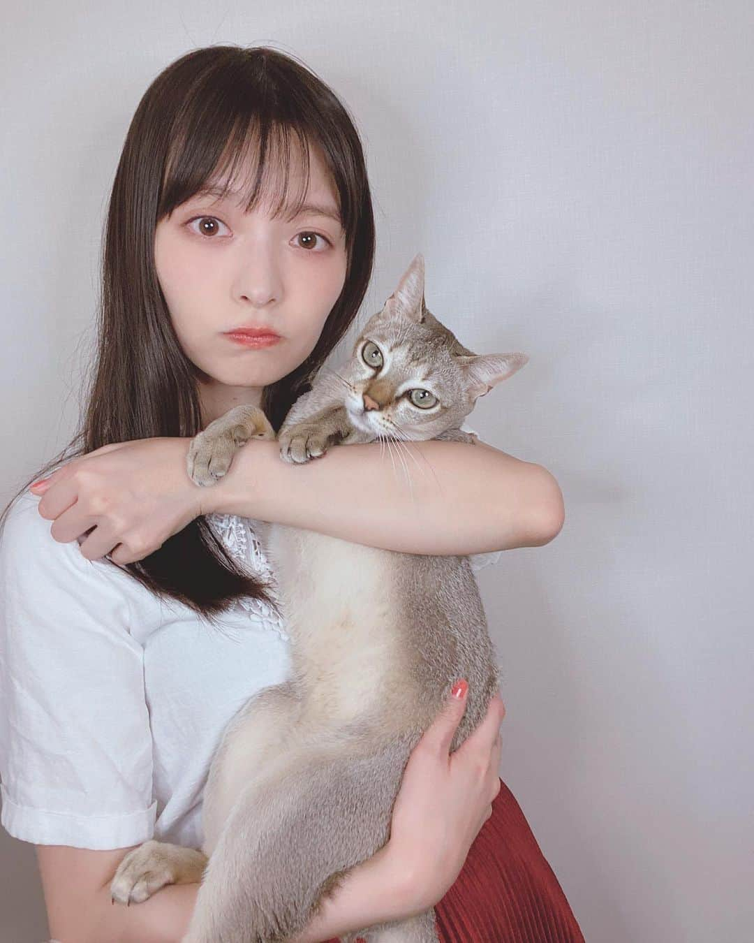 上坂すみれさんのインスタグラム写真 - (上坂すみれInstagram)「猫抱っこチャレンジ猫嫌そう写真がとれましたにゃん ライト付きスマホスタンド、便利…！  #メロウくん #上坂すみれ」9月17日 15時14分 - uesaka_sumire