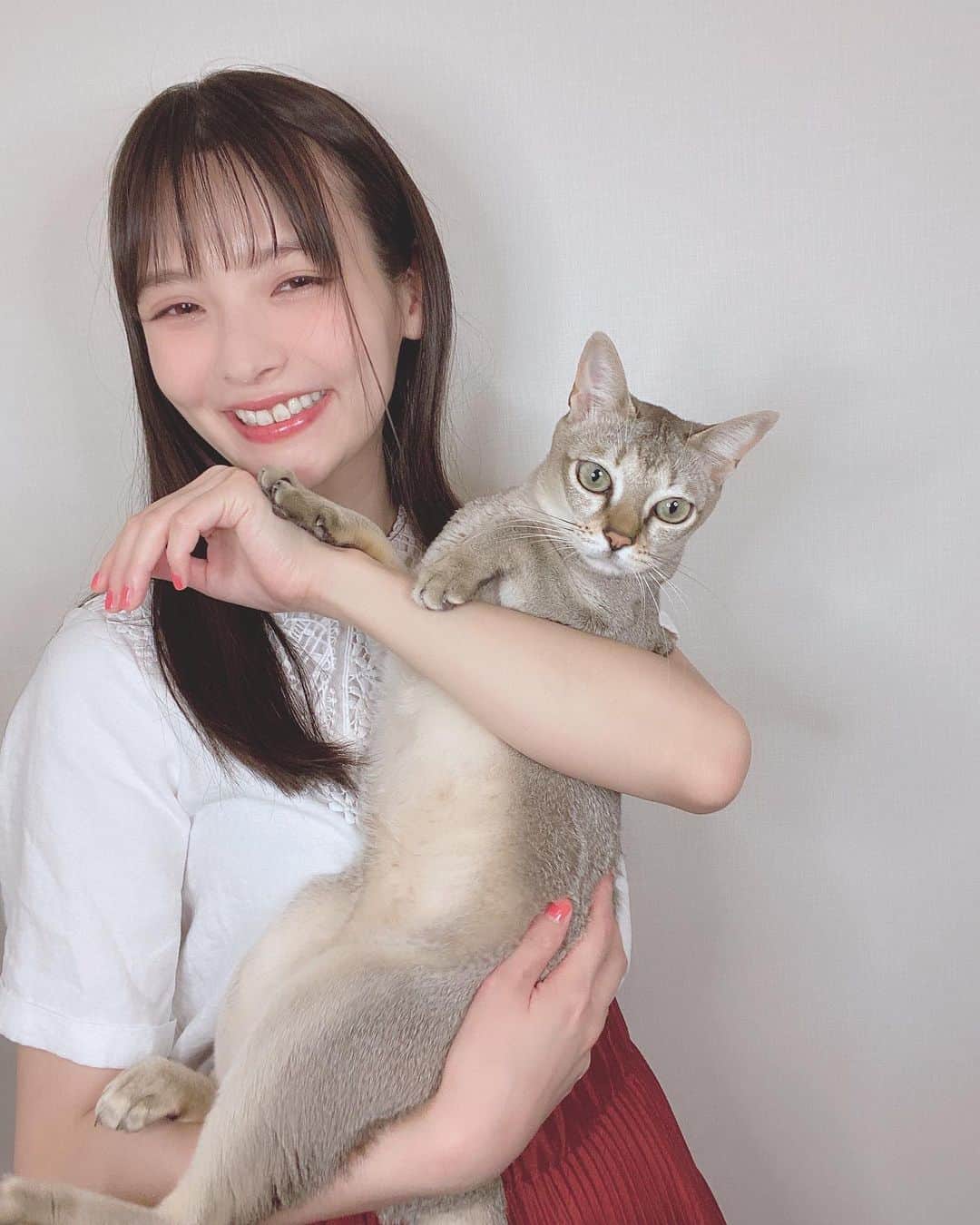 上坂すみれさんのインスタグラム写真 - (上坂すみれInstagram)「猫抱っこチャレンジ猫嫌そう写真がとれましたにゃん ライト付きスマホスタンド、便利…！  #メロウくん #上坂すみれ」9月17日 15時14分 - uesaka_sumire