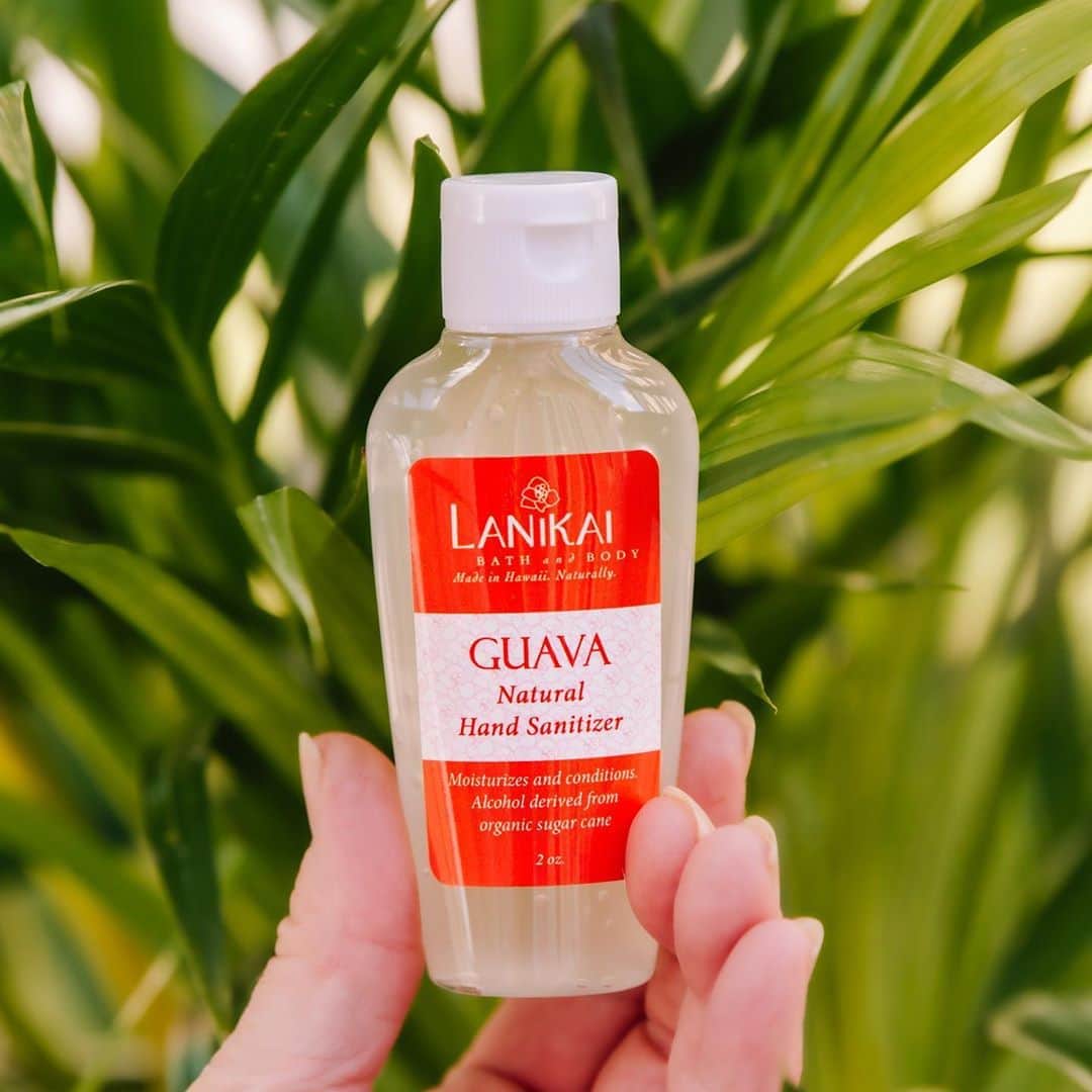 Lanikai Bath and Bodyさんのインスタグラム写真 - (Lanikai Bath and BodyInstagram)「You’ll look forward to cleaning your hands with Lanikai’s natural hand sanitizers. Moisturizes while killing those nasty germs. And amazing scents too. #covidsanitizers #handsanitizers #lovetheguava #aloevera #lanikaibathandbody」9月17日 15時32分 - lanikaibathandbody