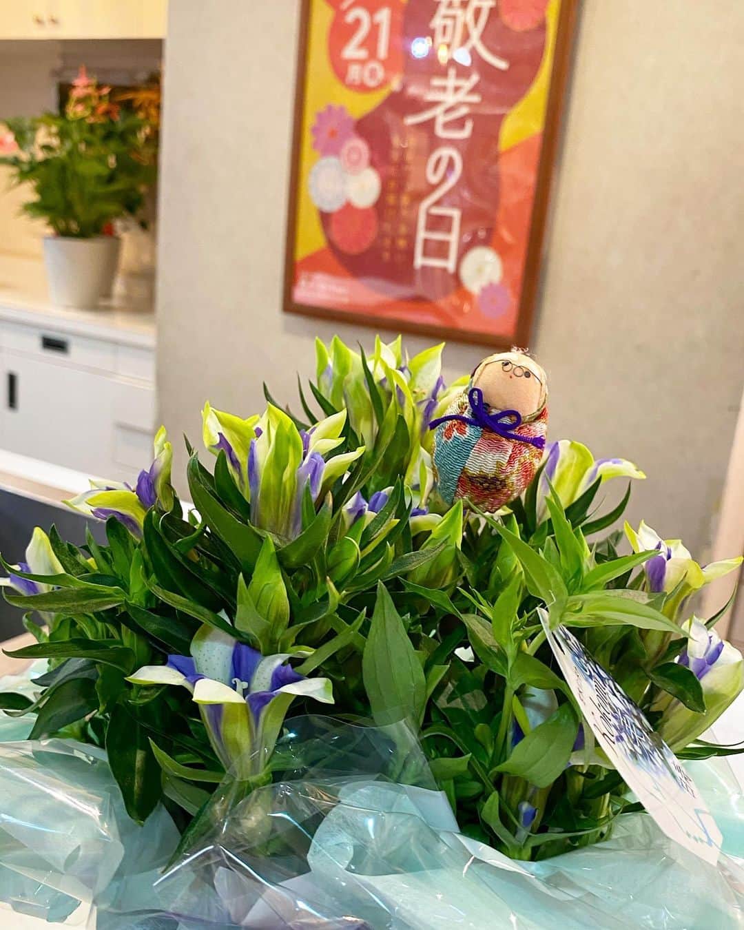LATOV_ラトブ さんのインスタグラム写真 - (LATOV_ラトブ Instagram)「【1階　フローリスト花磯】  9.21 mon 敬老の日フラワーギフト💐  おじいちゃん、おばあちゃんへ 「いつもありがとう」「これからも元気でいてね」の気持ちを、フラワーギフトに託しませんか🌹 お花の贈り物は、もらう人の気持ちを明るくしてくれます☺️  何を贈ろうか。お悩みの方はぜひスタッフにご相談ください。  #ラトブ #いわき市 #いわき #フラワーギフト #フラワーアレンジメント #花束 #フローリスト花磯 #敬老の日 #敬老の日プレゼント」9月17日 16時09分 - latov_20071025