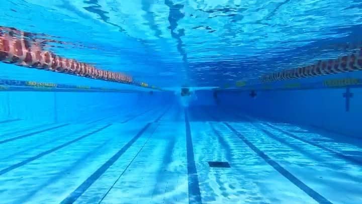 マデリン・グローヴスのインスタグラム：「Just keep swimming... 🐠🐬🦋」