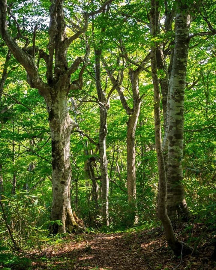 福島県のインスタグラム