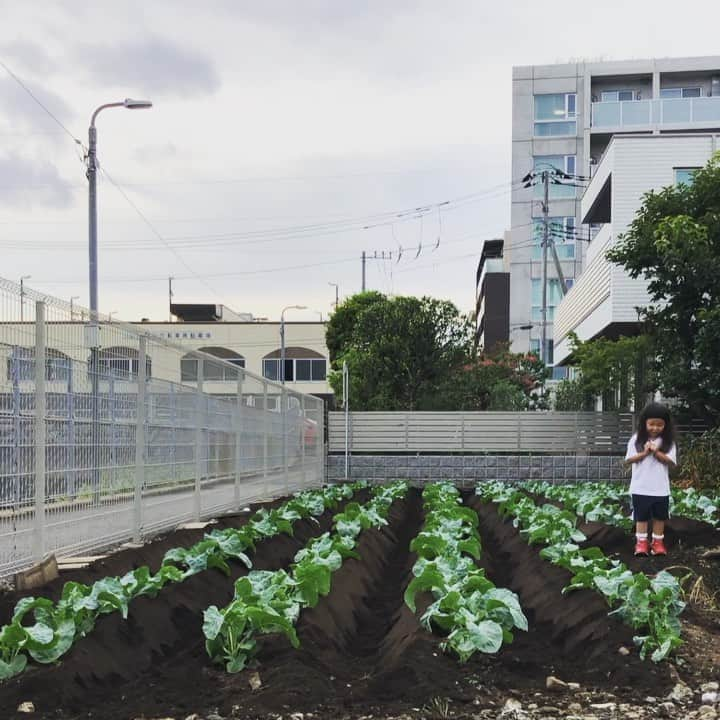 新井美穂のインスタグラム