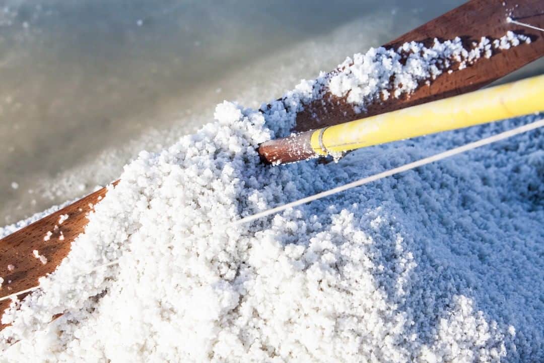 フランス大使館さんのインスタグラム写真 - (フランス大使館Instagram)「【フランスの職人🖐】フランスの #ゲランド 地方では、湿地帯における天然の塩作りは1000年以上前から行われています。丁寧な工程と先祖代々受け継がれてきた職人技によって生み出された良質な塩はその風味の豊かさにおいて一線を画します。環境に配慮しながら人の手で作られる塩は、食事に気を配る消費者により新たな注目を集めています。www.leseldeguerande.fr #tastefrance   『ユニヴェル＝セル』は、湿地における持続可能な農業を発展させるために1991年に作られた組織です。水田の保護活動だけではなく塩職人のボランティアにより、アフリカにおける塩田技術や天日塩の製法の支援などを行っています。http://www.universsel.org」9月17日 17時42分 - ambafrancejp