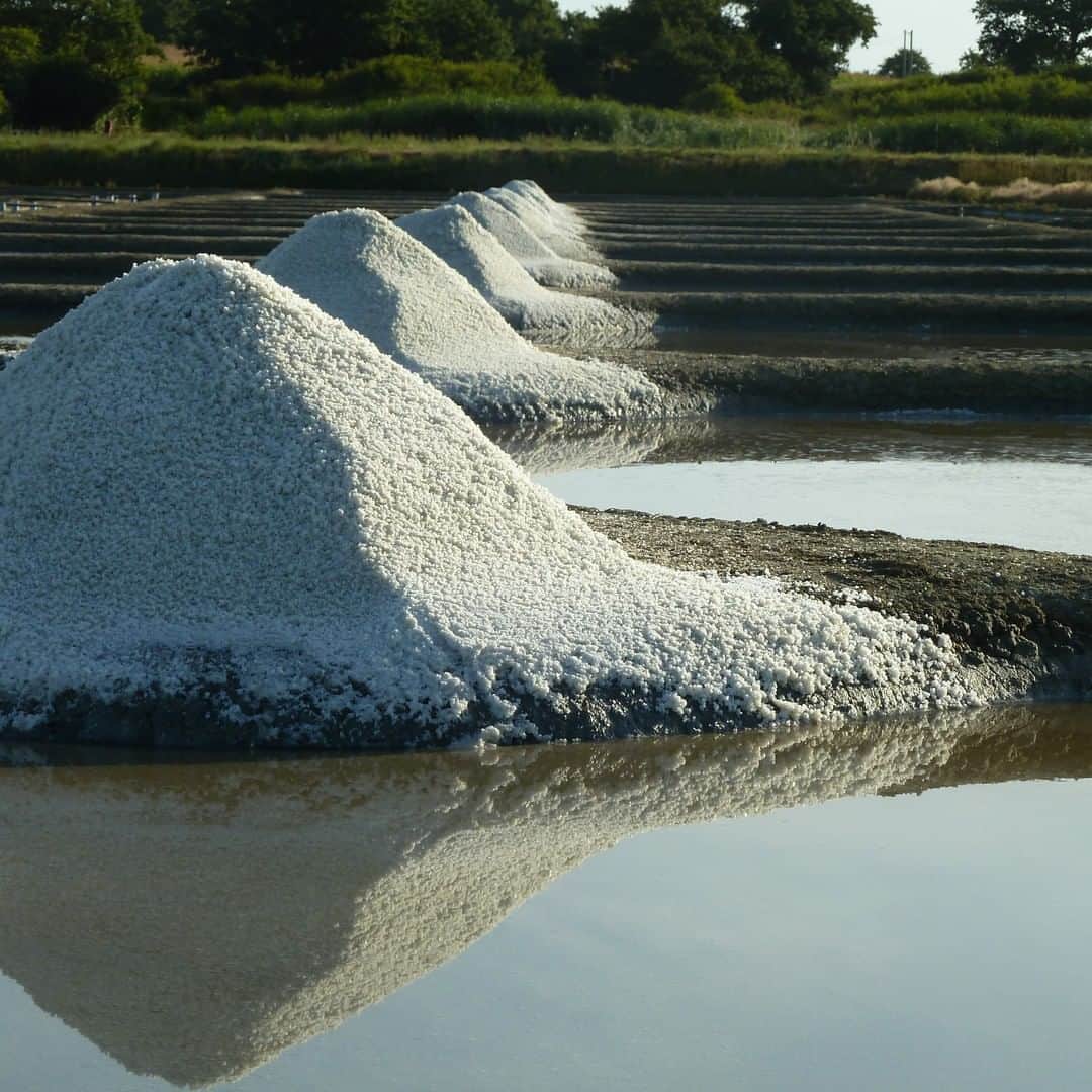 フランス大使館さんのインスタグラム写真 - (フランス大使館Instagram)「【フランスの職人🖐】フランスの #ゲランド 地方では、湿地帯における天然の塩作りは1000年以上前から行われています。丁寧な工程と先祖代々受け継がれてきた職人技によって生み出された良質な塩はその風味の豊かさにおいて一線を画します。環境に配慮しながら人の手で作られる塩は、食事に気を配る消費者により新たな注目を集めています。www.leseldeguerande.fr #tastefrance   『ユニヴェル＝セル』は、湿地における持続可能な農業を発展させるために1991年に作られた組織です。水田の保護活動だけではなく塩職人のボランティアにより、アフリカにおける塩田技術や天日塩の製法の支援などを行っています。http://www.universsel.org」9月17日 17時42分 - ambafrancejp