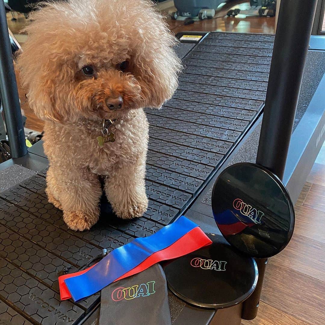 JEN ATKINさんのインスタグラム写真 - (JEN ATKINInstagram)「Working out at home has helped our team so much this year, we couldn’t wait to get these out! @theouai quaran-tone set (resistance bands + sliders) link in bio 🏋️‍♀️🌈 *** special thx @dougandponyshow for being my model for the day」9月18日 4時07分 - jenatkinhair