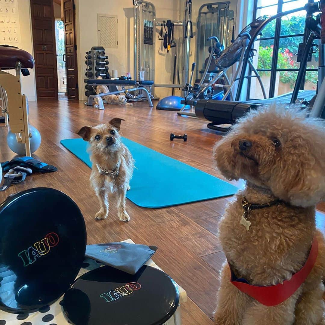 JEN ATKINさんのインスタグラム写真 - (JEN ATKINInstagram)「Working out at home has helped our team so much this year, we couldn’t wait to get these out! @theouai quaran-tone set (resistance bands + sliders) link in bio 🏋️‍♀️🌈 *** special thx @dougandponyshow for being my model for the day」9月18日 4時07分 - jenatkinhair