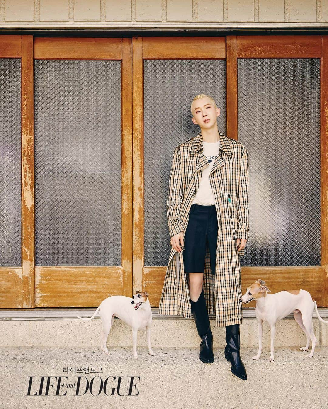 チョ・グォン さんのインスタグラム写真 - (チョ・グォン Instagram)「@lifeanddogue_  September 🍂 사랑하는 가가 비버와 함께 Italian Greyhound 🐶」9月17日 20時47分 - kwon_jo