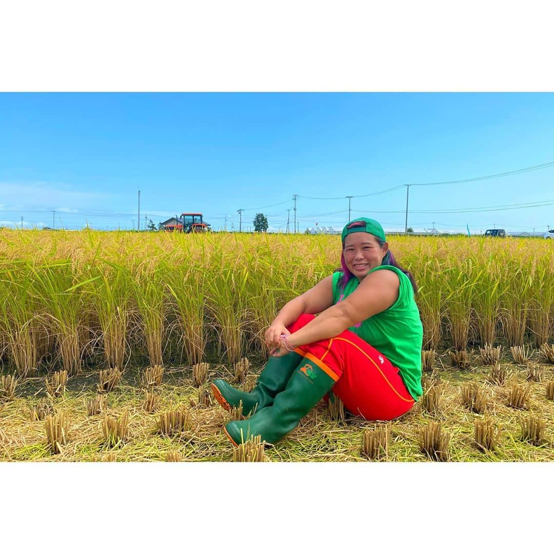 橋本千紘さんのインスタグラム写真 - (橋本千紘Instagram)「農姫米稲刈り🌾🌾🌾﻿ ﻿ 農業はやっぱり最高です😊﻿ ﻿ #仙女  #センダイガールズプロレスリング #sendaigirlspro  #女子プロレス #プロレス #prowrestling #prowrestler #筋肉女子 #ぎゅん #道場 #training #warmingup #muscle #musclegirls #農業 #稲刈り #お米作り #農姫米 #稲刈り #農業女子」9月17日 20時56分 - chihero71